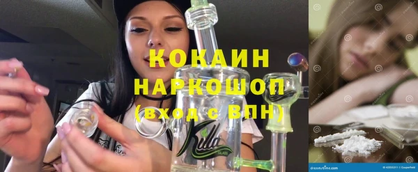 МДПВ Гусев