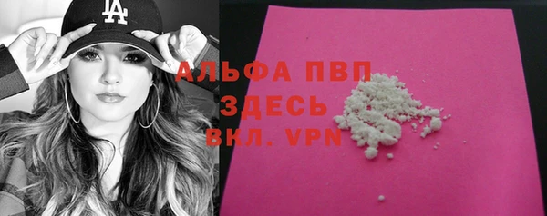 винт Щигры