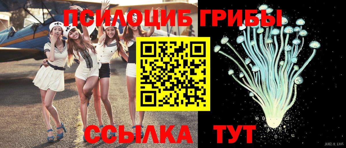 Галлюциногенные грибы Psilocybine cubensis Нижневартовск